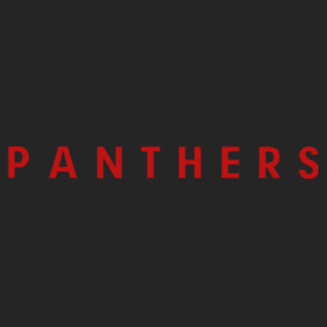 Wainwright - Youth Core Fleece Crewneck Sweatshirt (panther) Design